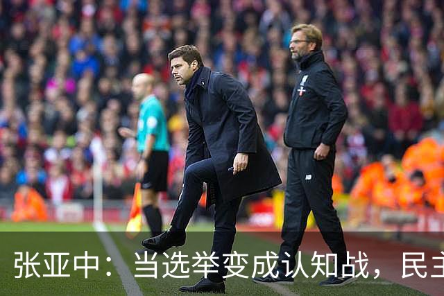 张亚中：当选举变成认知战，民主还有意义吗