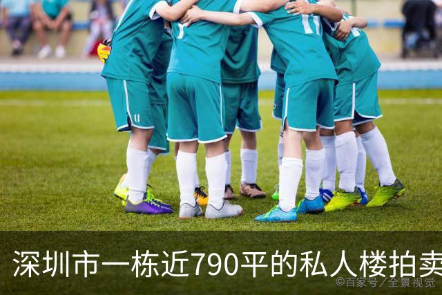 深圳市一栋近790平的私人楼拍卖，被人755万元拿下了